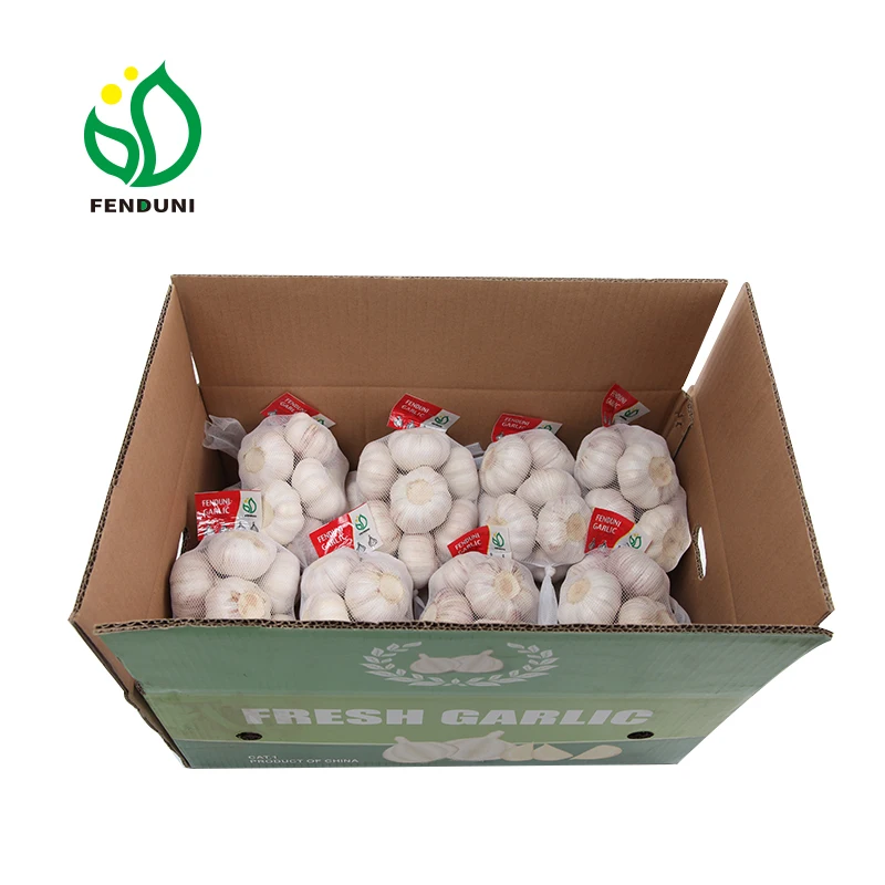 
2019 Garlic Price garlic box 10kg for Morocco 