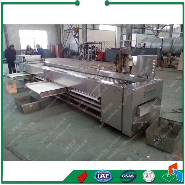 China Dates Jujube Grading and Sorting Machine Sorter Grader