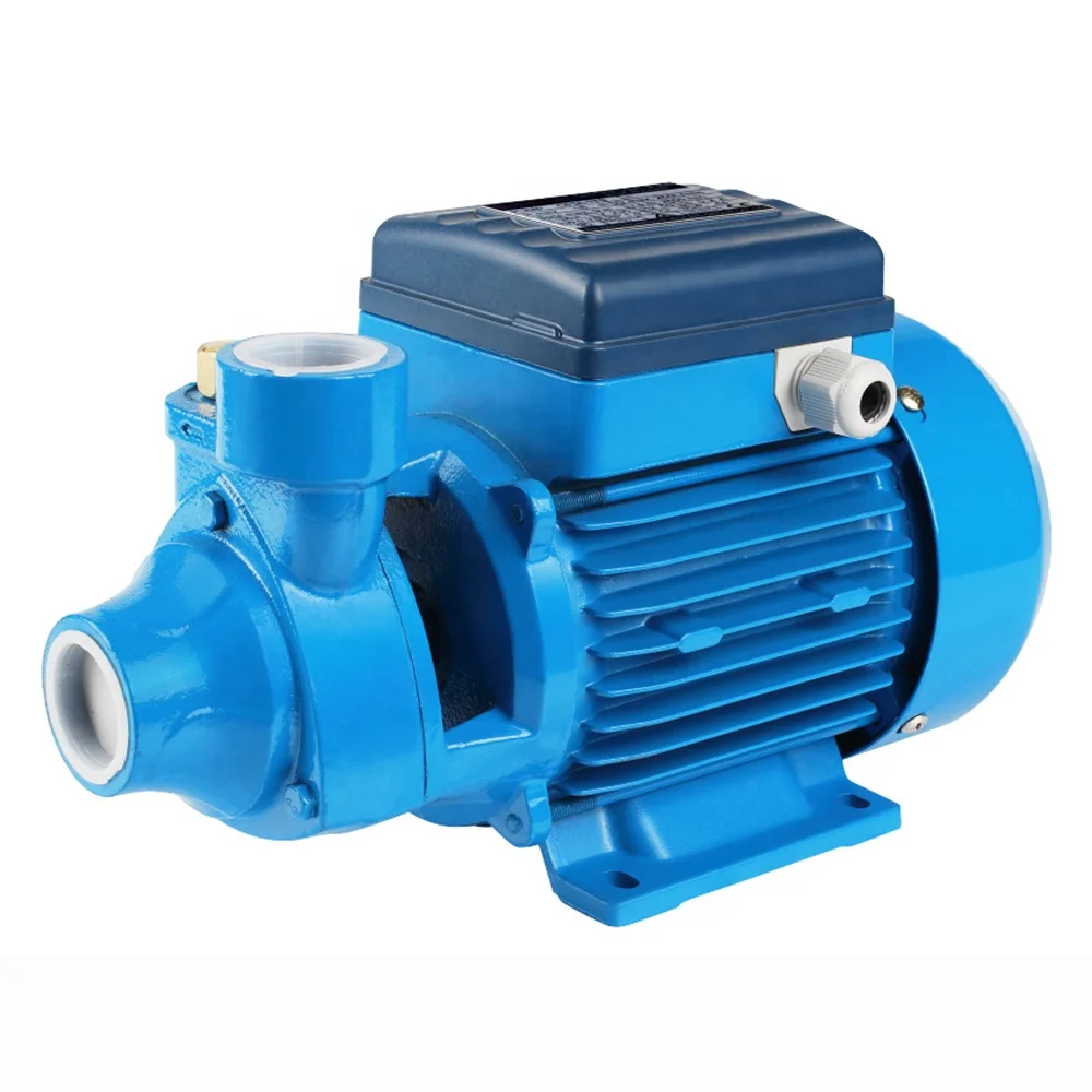 DACHENG   QB60 0.5HP with Copper winding brass impeller  electric clean water pump