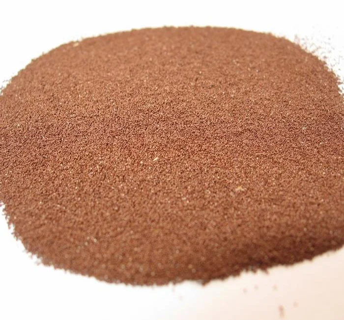 artemia cysts brine shrimp eggs