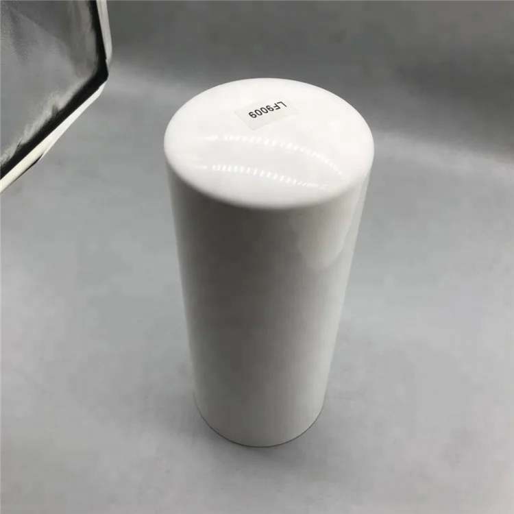 Fuel Element fuel filter 6003194540 P553200 for excavator