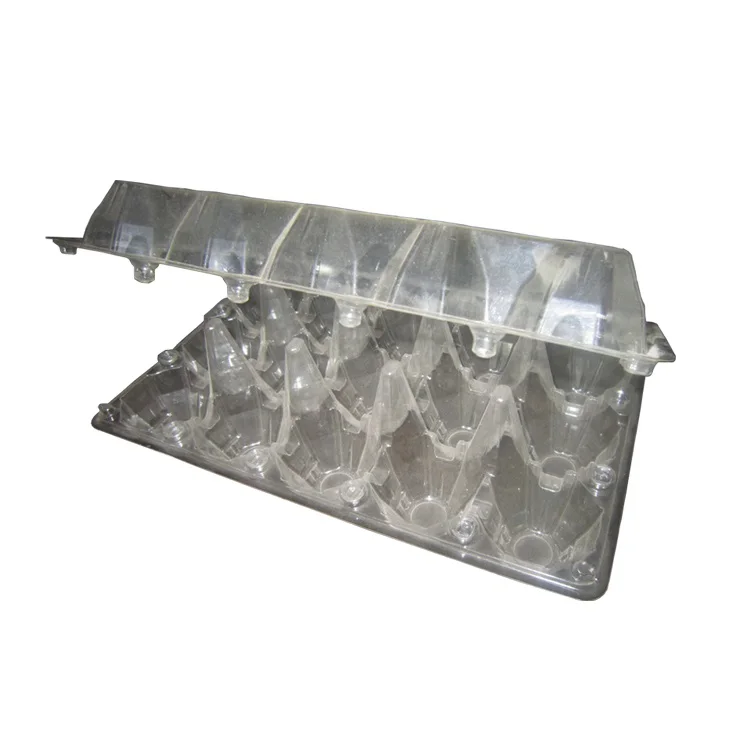 Automatic punching and shearing plastic egg box carton tray container  vacuum  forming mould mold die