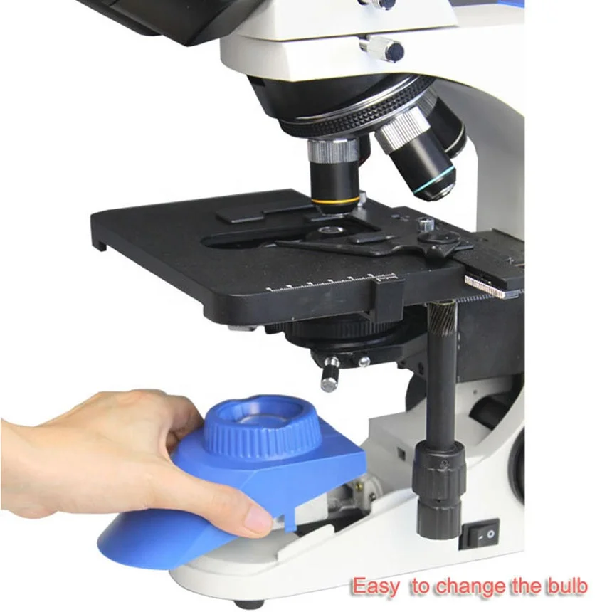 FE02600 Viewing head zoom bm800 binocular stereoscope polarizing microscope