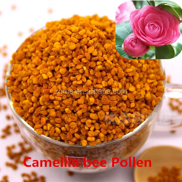 natural fresh new pure edible camellia bee pollen