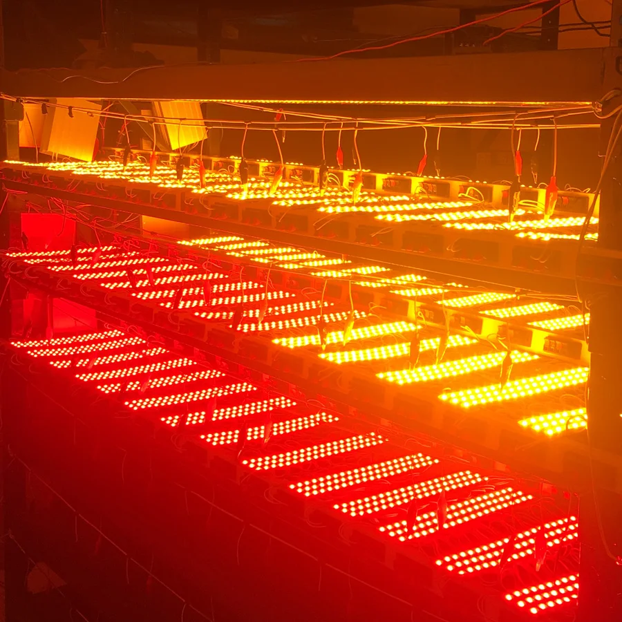 CE ROHS DC12V RGB Color Changing Digital 2811 Led Module for Advertising Board