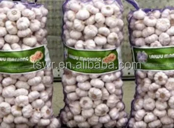 shandong garlic white garlic  fresh garlic