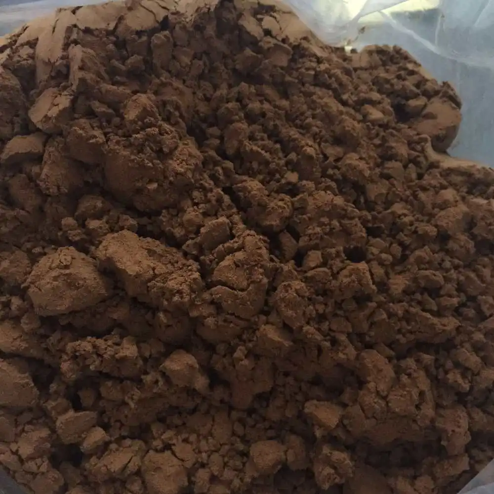 
Pincredit supply chaga mushroom extract chaga polysaccharide 30% 