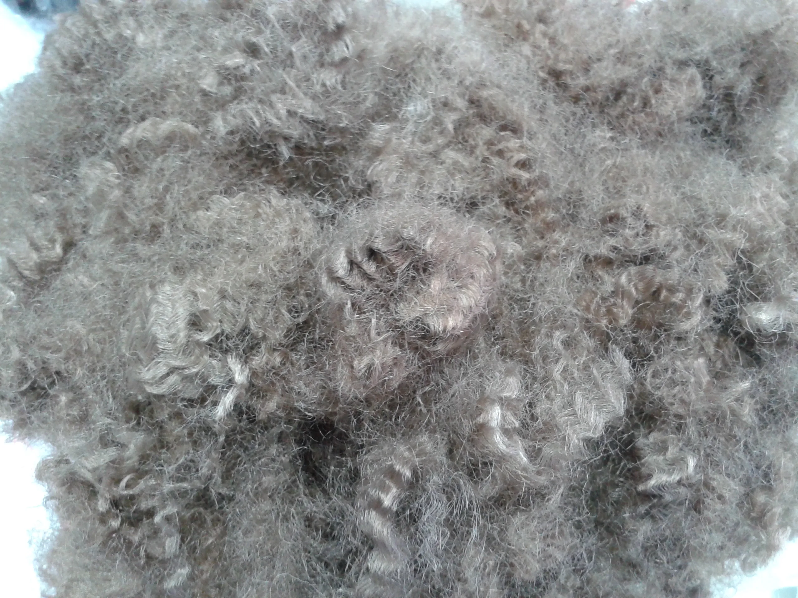 brown HS fiber 15Dx51MM hollow siliconized polyester fiber