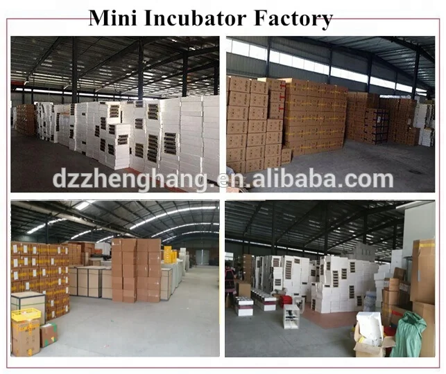 low power consumption chicken egg incubator, quail egg incubator/112 eggs incubator (Lydia WhatsApp:+8615965977837)