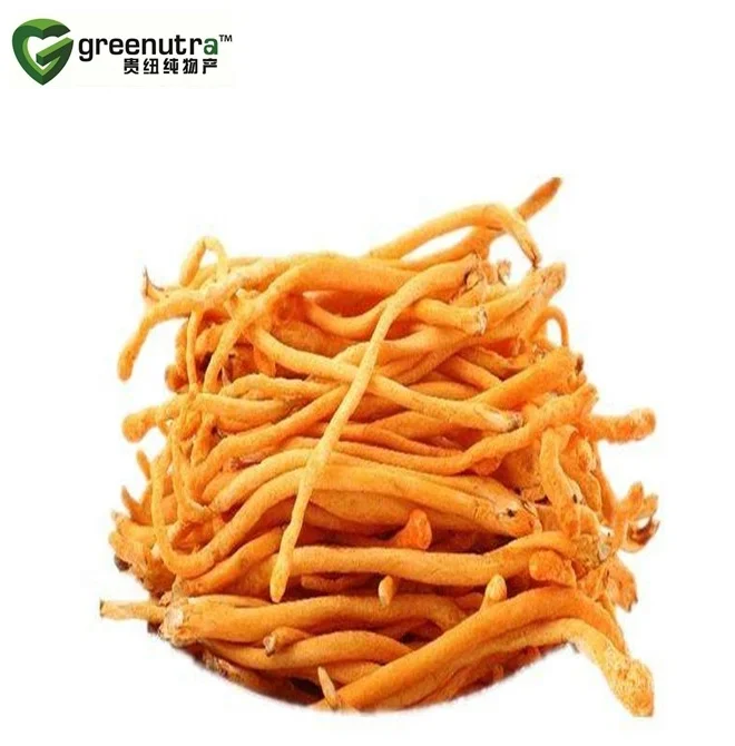 Cordyceps Sinensis Extract/yarsagumba extract/cordyceps extract