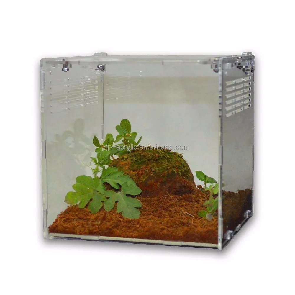 
Big and Small Clear Acrylic Pet Reptile Spider Tarantula Cage 