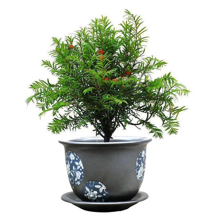 Chinese jingdezhen high quality ceramic  porcelain large plant pots