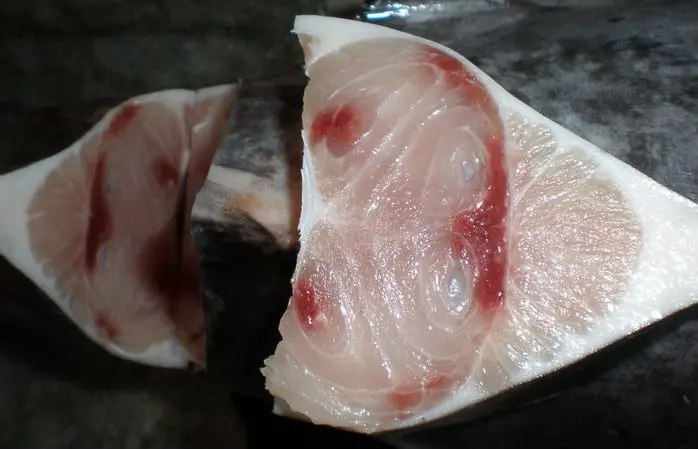 Frozen Fish Fresh Tilapia Supplier Block Bulk Style Packaging Package Weight Lbs Shelf Origin FROZEN SWORDFISH DWT (BELLY OFF)