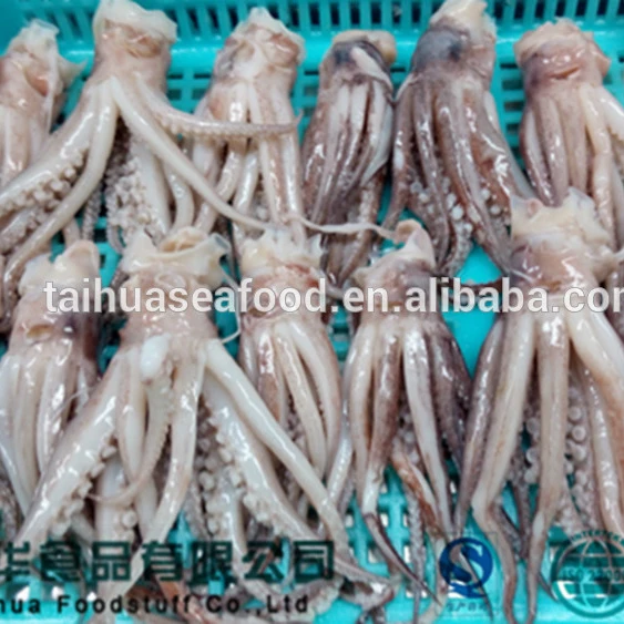 
Frozen BQF cut poulp squid for sale 