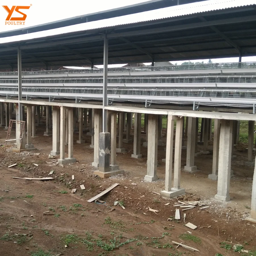 Automatic A Type Chicken Cage for 10000 Layer/Broiler/Pullet Chicken