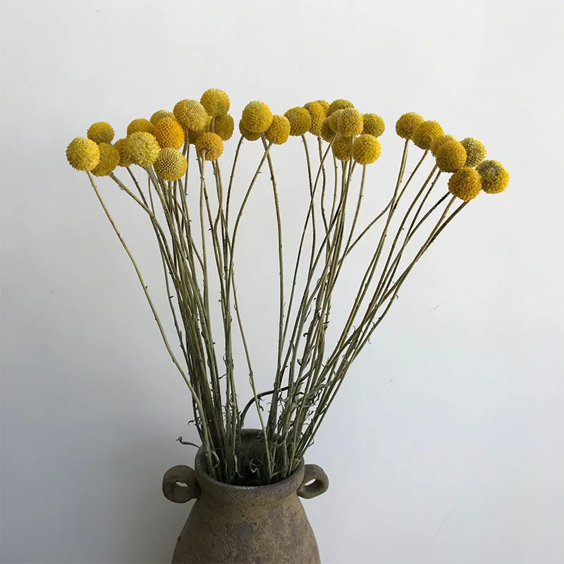 
dried flower collecting dried flower arrangements for walls 