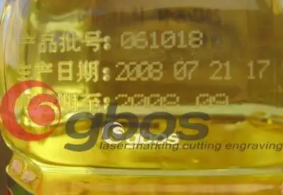 Gbos Laser Marking Machine CO2 Online Flying Expiry Date Series Number Laser Printer For Shoe Components Footwear