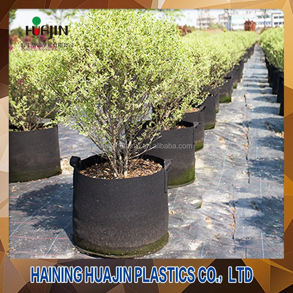 manufacturer garden planter bag Biodegradable grow bag Fabric Pots Grow Bag