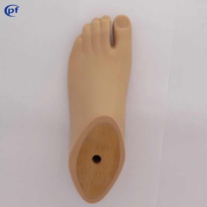 
orthopedic implants foot,sach prosthetic foot,polyurethane,toes 