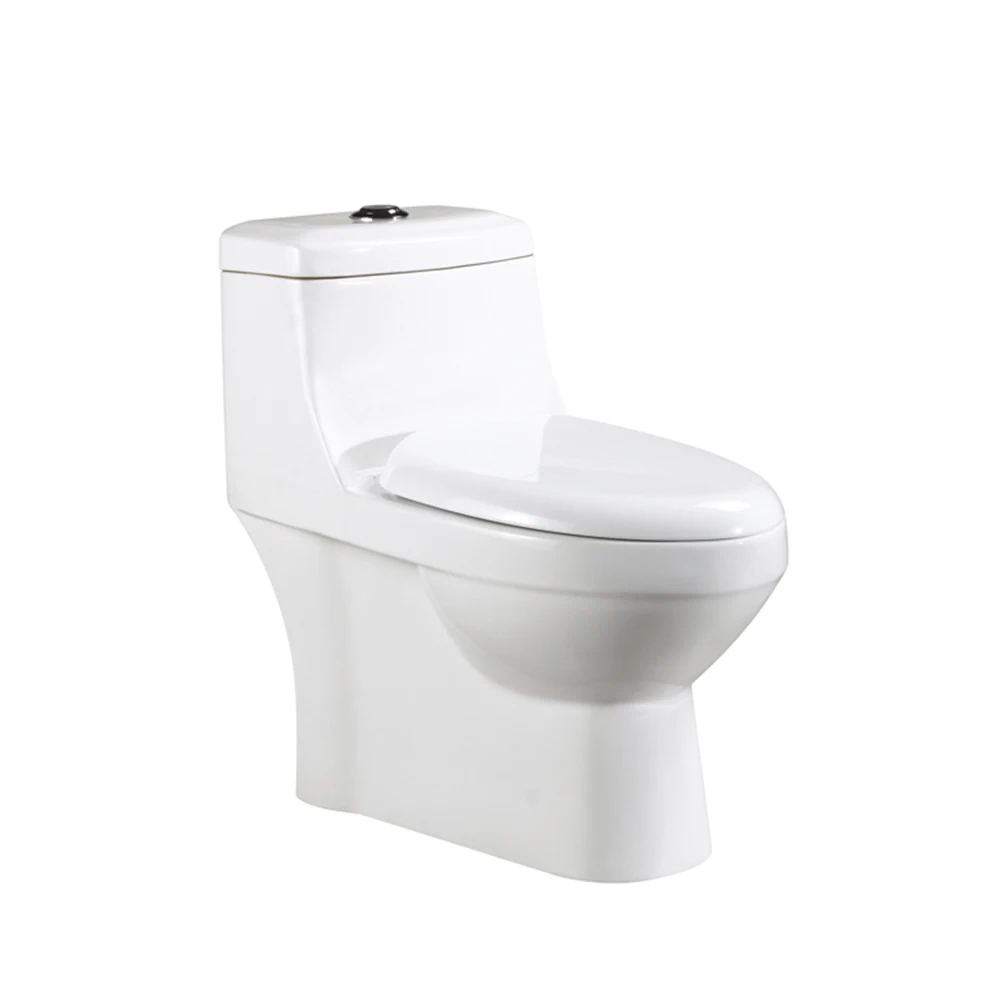 Concealed HS-8029 S-trap Wash Basin Toilet Pakistan/toilet Wc Price/bathroom Toilet