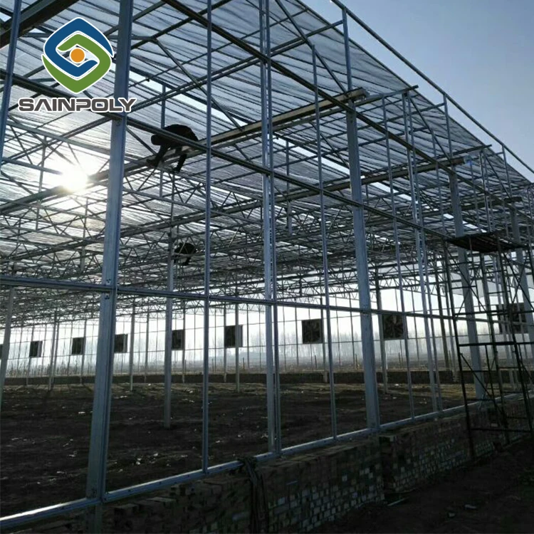 Сельскохозяйственная многопролетная стеклянная теплица для томатов на продажу