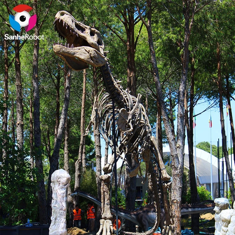 Life size Museum skeleton dinosaur for sale