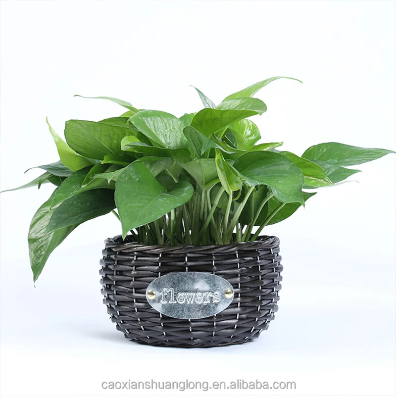 Hot Sale Wicker Basket Flower Girl Basket for Gift