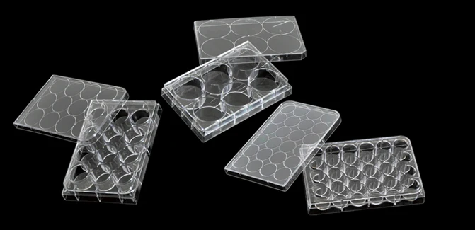 petri plate