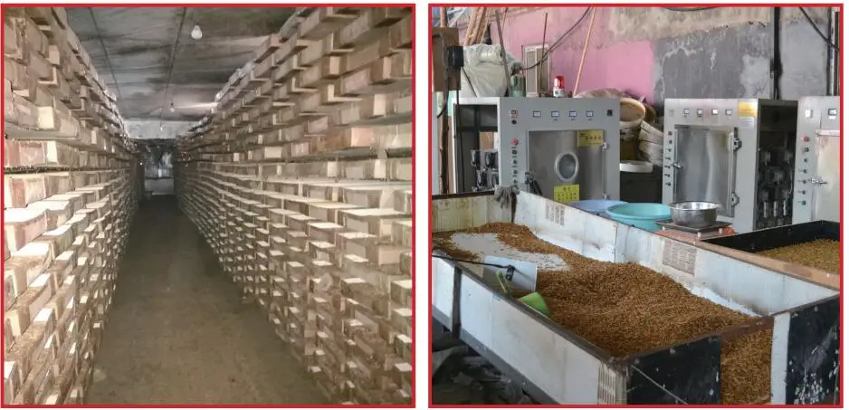 Defatted Mealworm Powder
