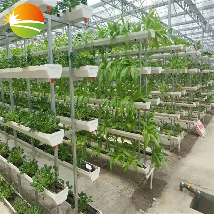 hydroponic greenhouse China Gold Supplier