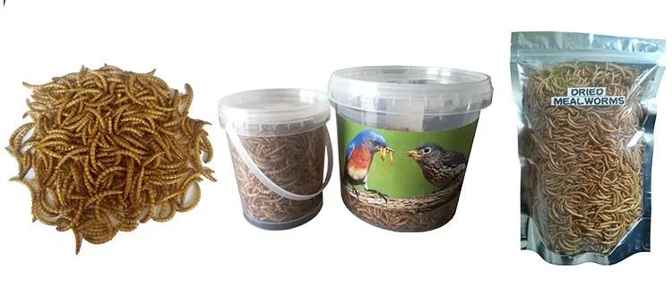 
Live Dried Mealworm Bird Food Pet Feed Additives 