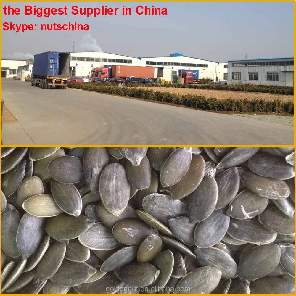 
organic green pumpkin seeds grown without shell AAA/AA/A/OIL GRADE 