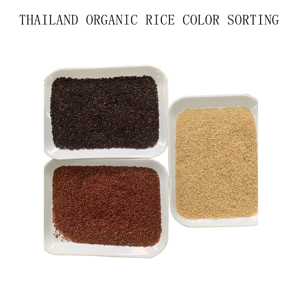 Thailand Rice Seed Grading Machine Paddy Rice Cleaning Machine Organic Rice Grain Grader