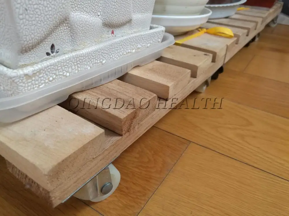 Indoor hard wood plant pot moving tray, plant cart