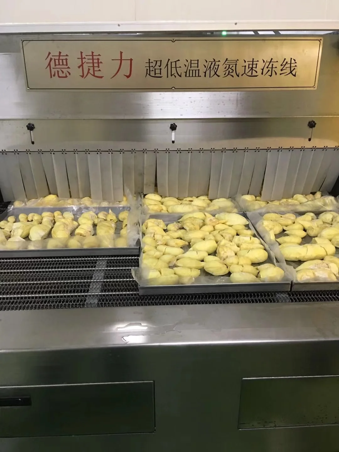 Промышленный непрерывный туннель DJL IQF, быстрая морозильная камера с высокой скоростью, морозильник с жидким азотом, дурийский туннельный морозильник