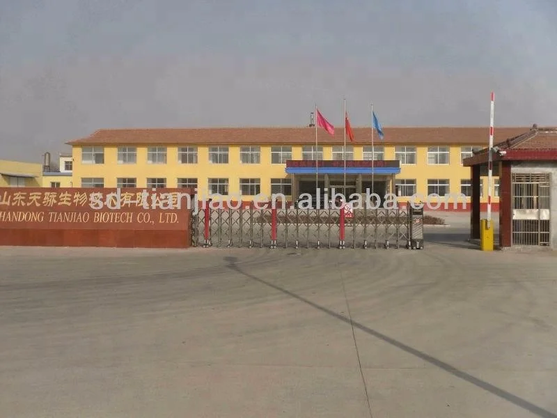 hot selling soft service ice cream powder with various fruit flavor