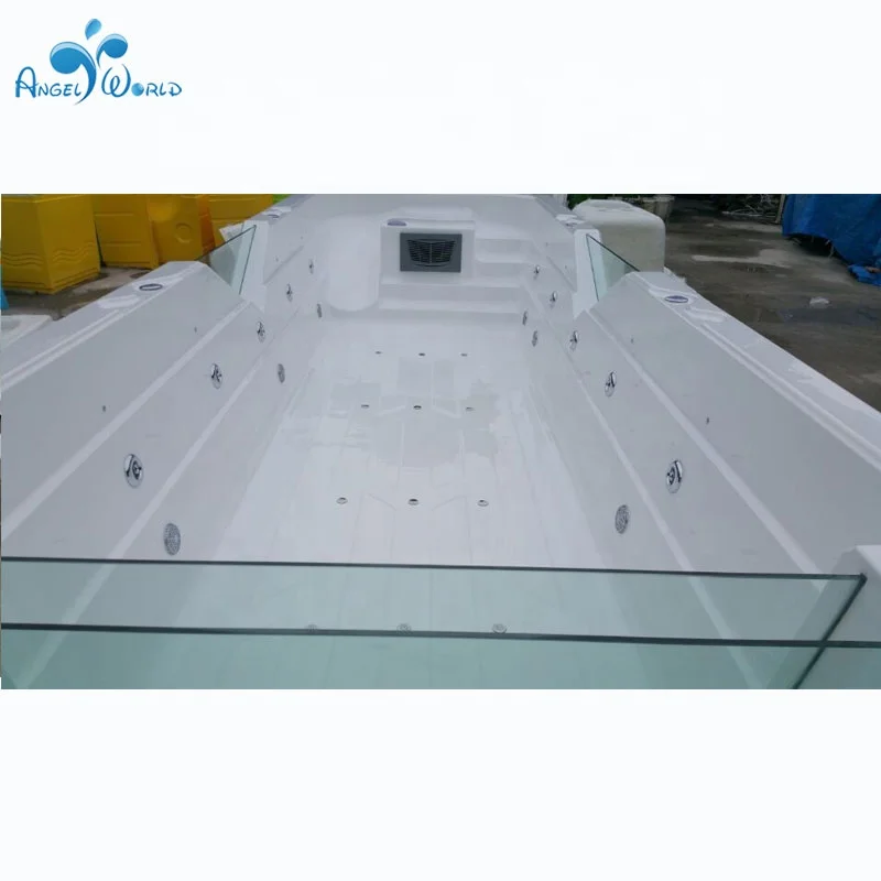 China Factory Freestanding Multi-function Acrylic Swimming Pool