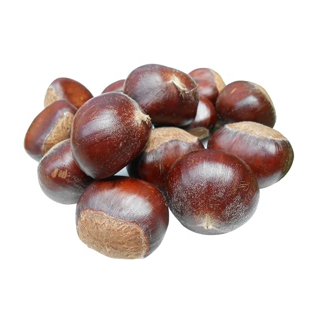 
New Crop Organic Bulk Fresh Chestnuts for sale 
