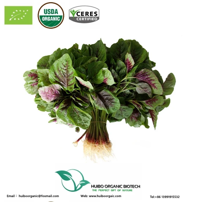 Amaranth powder on food additive / Amaranth extract