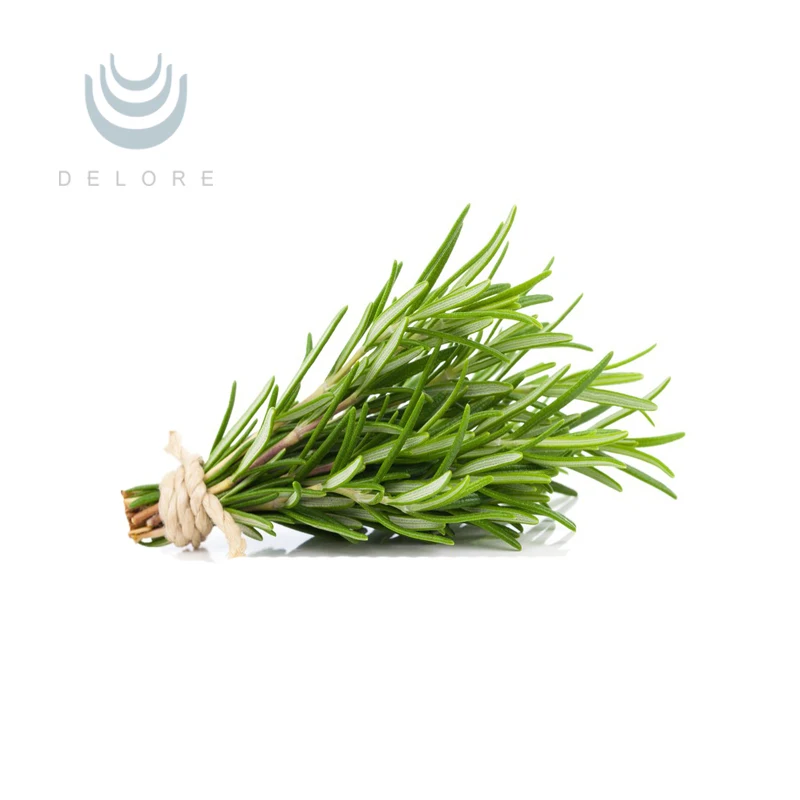 New products favorable price HPLC Supercritical carbon dioxide extraction Rosemary Extract P.E. Carnosic Acid liquid