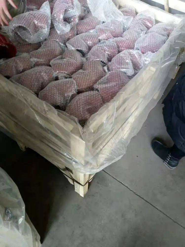 
Used for sewer drainage system of buildings Epoxy Pipe cast iron pipe fittings EN877 SML pipes 45deg bend 