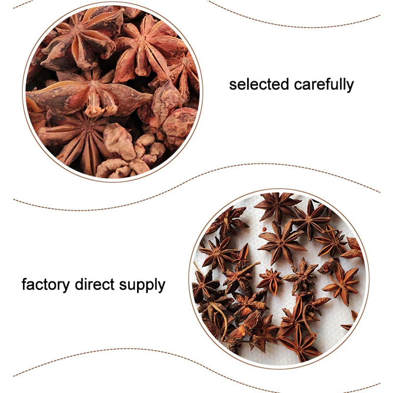 Factory Whole Price Spices Herbs Seasoning Dry Star Anise Seeds