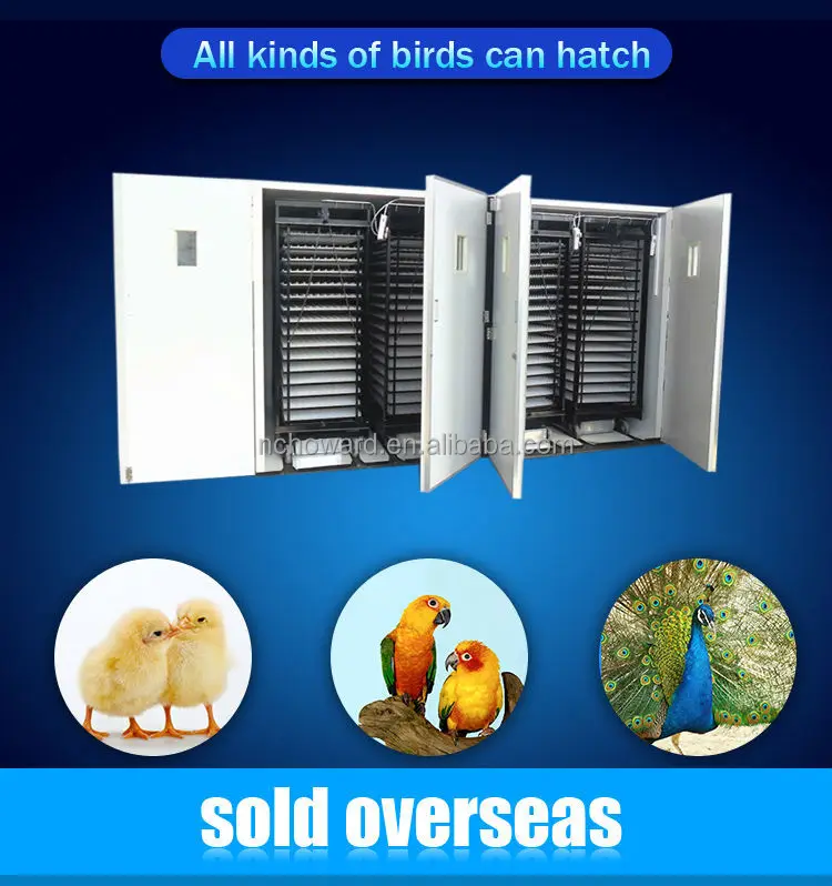 Industrial chick master incubator price  for sale with high hatching rate