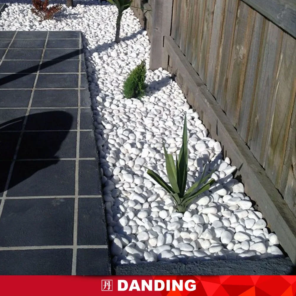 
Colourful Natural Stone Pebbles for garden landscaping 