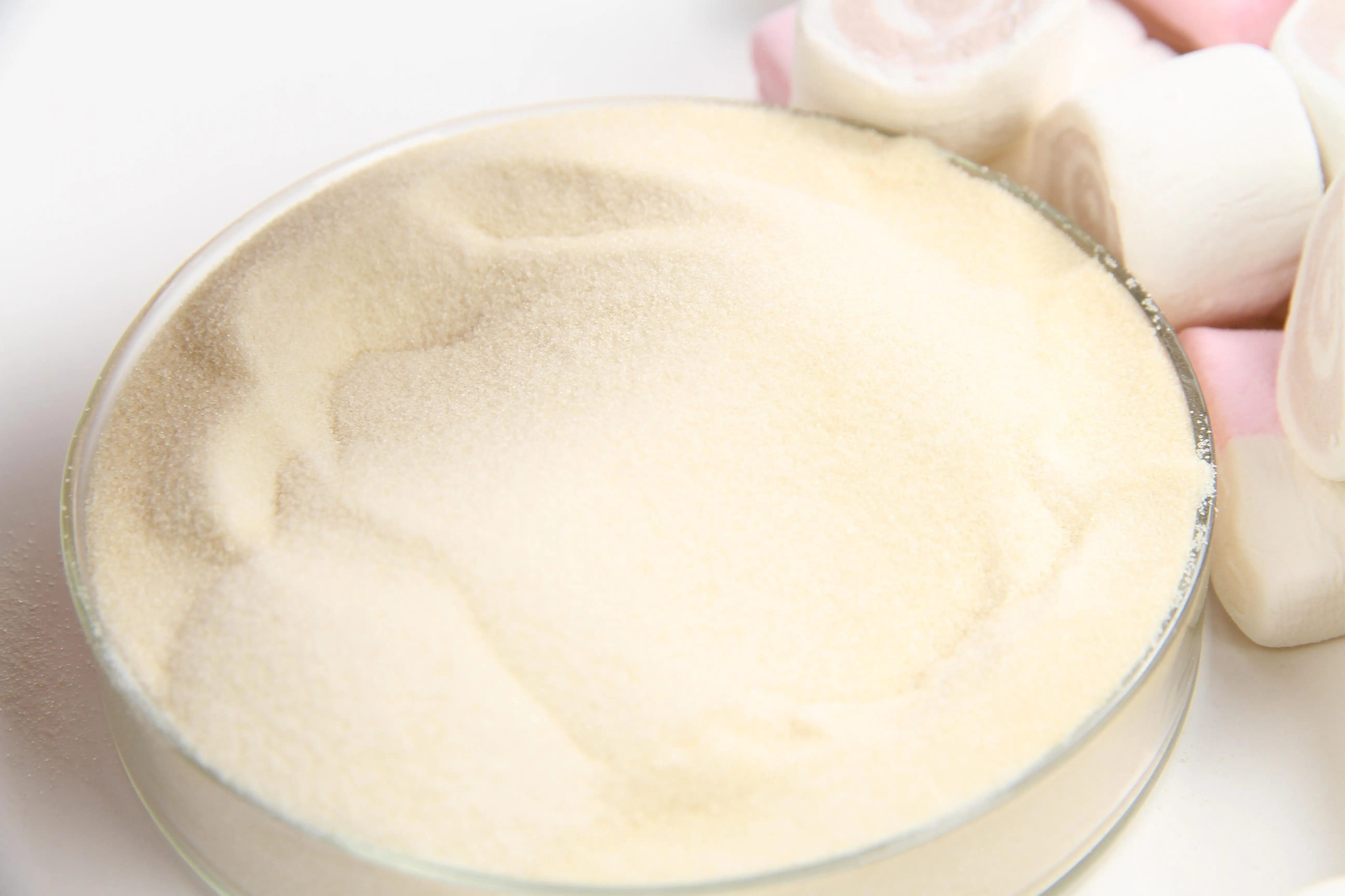 Factory price halal food grade edible beef gelatin powder