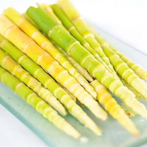 
Salted Bamboo Shoot round cut/whole 