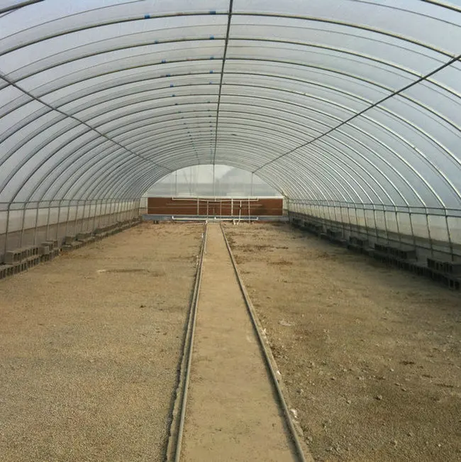 commercial greenhouse for chickens