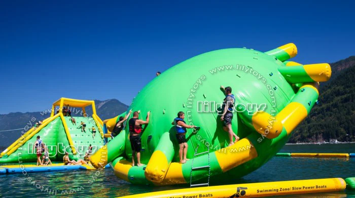 Игрушки-лилии интерактивные спортивные игры большой надувной аквапарк