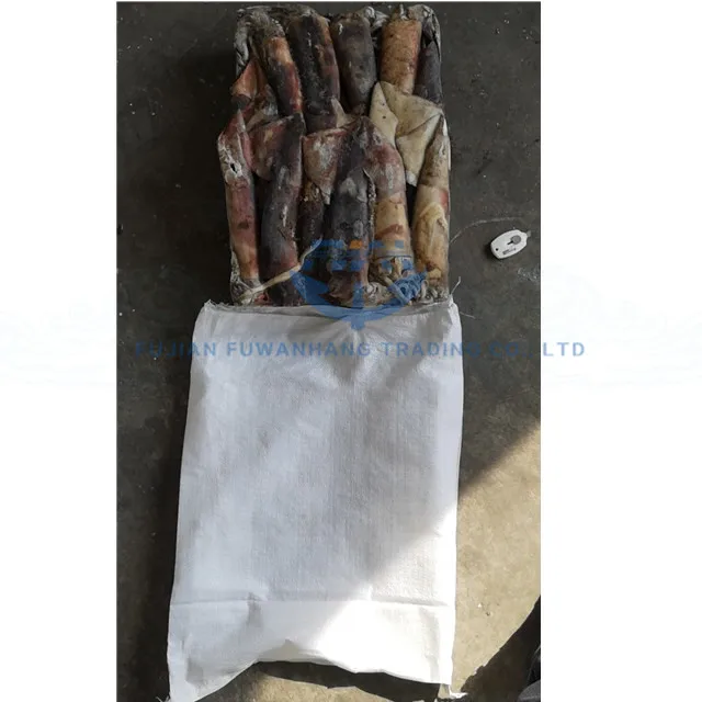 
Seafrozen jig catching Frozen equator squid 