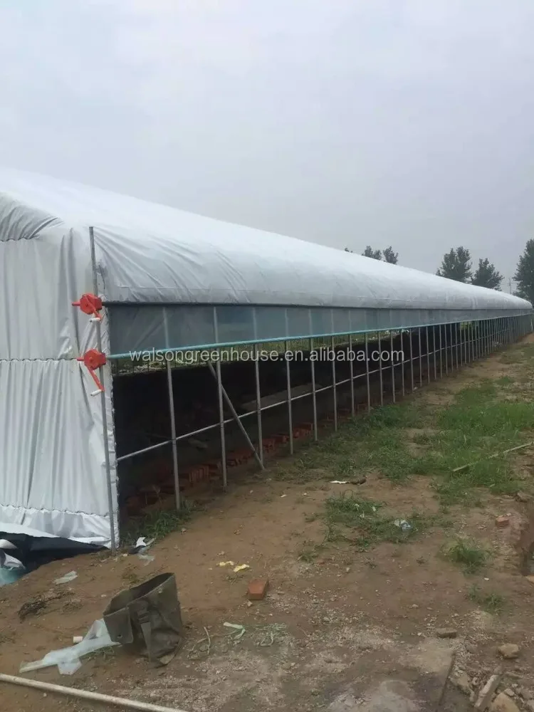 Pe Film Glass Poly Tunnel Reinforced Plastic Film Greenhouse for Poultry House